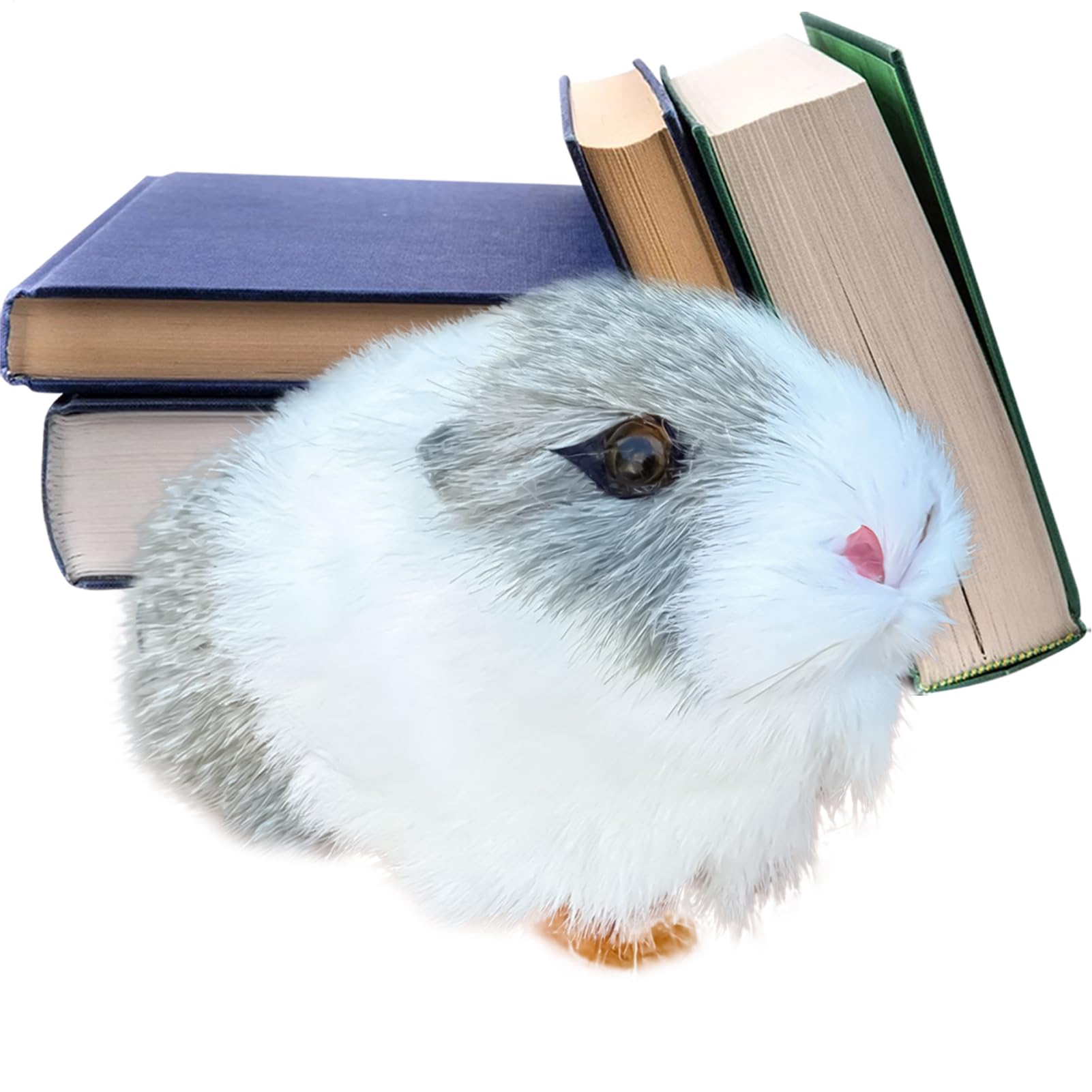 Cute Hamster Plush –12cm Stuffed Hamster, Soft Stuffed Animal, Realistic Hamsters Doll | Cuddly Plush Pet, Kids, Collectible Animal Toy | Small Decorative Toy for Bedroom, Sofa, Nursery
