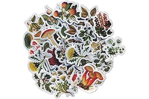Plant Stickers Aesthetic Cute Goblin Core, Seasonal Wild Plant, Fall Leaves Stickers Decals Sets