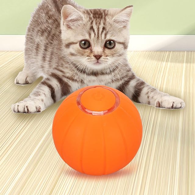 Foto 2 de 8 de Aeun Pelota Automática para Gatos