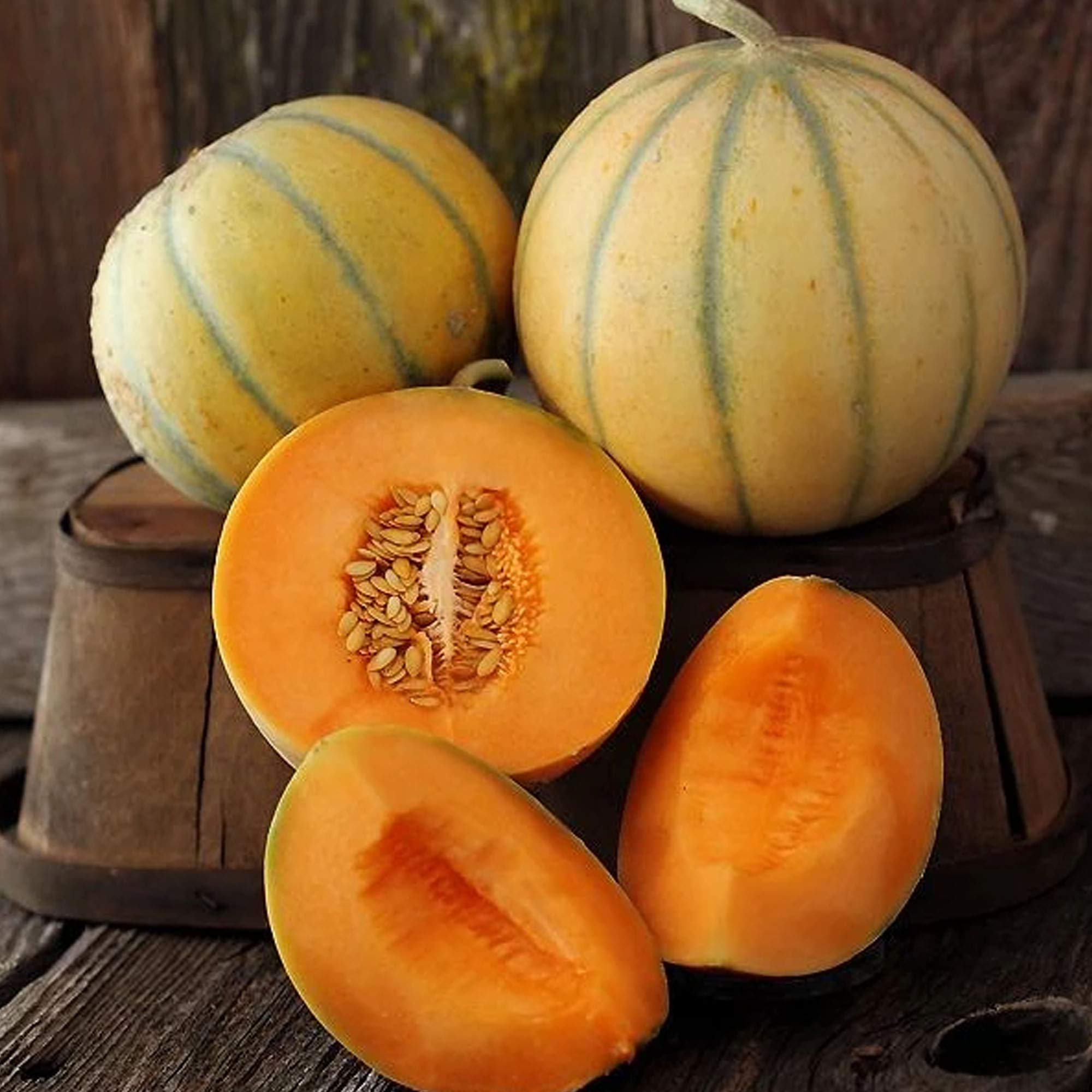 Charentais Melon 4 Oz Seeds French Heirloom Cantaloupe Non-GMO, Open-Pollinated, Heat Tolerant Sweet, Aromatic Melons Garden, Greenhouse, Containers Cucumis Melo 90 Days to Maturity