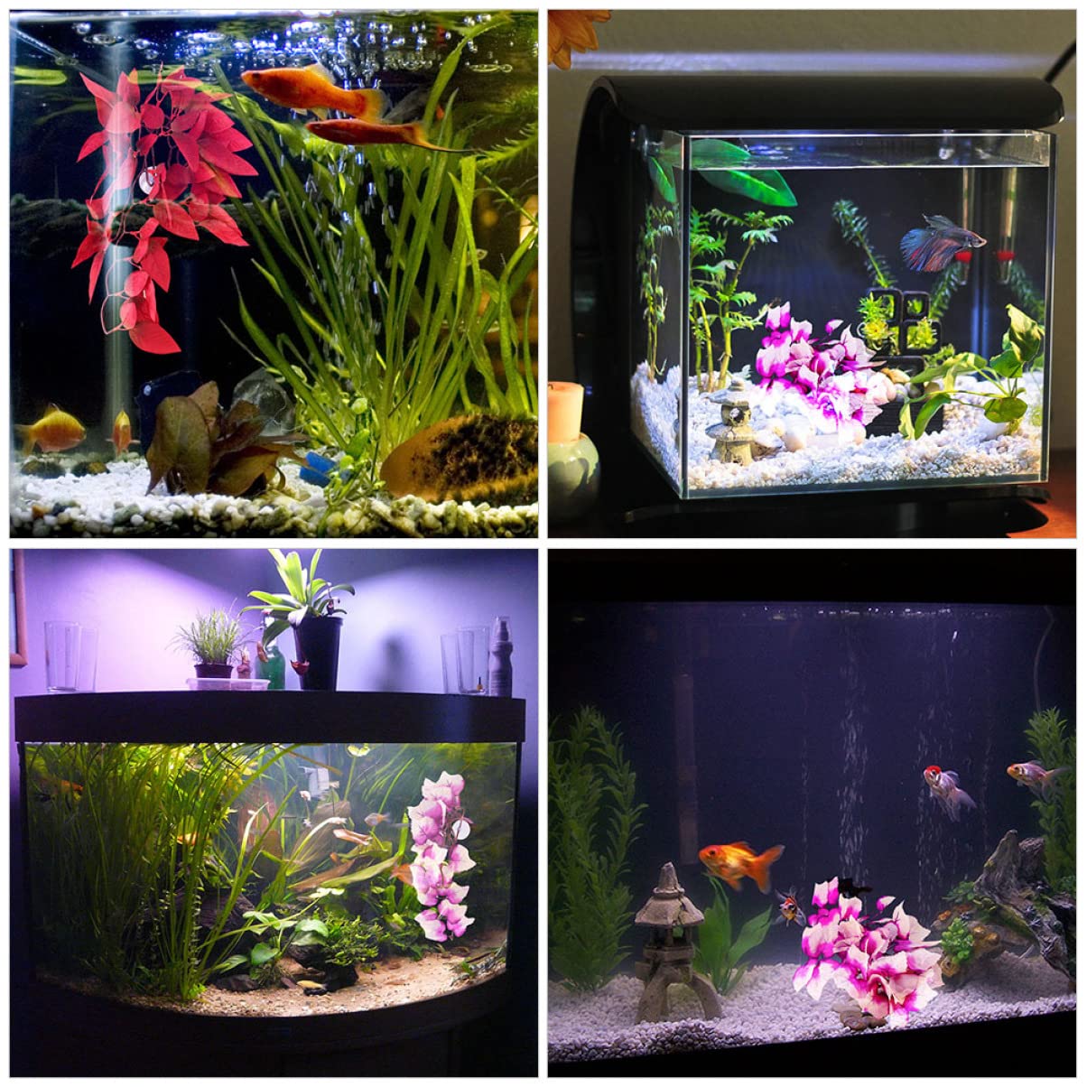 Sosoport 5 Set Accessori Per Animali Domestici Rattan Gechi Piante Serpentine Accessori Per Rettili Habitat Per Rettili Piante Sospese Per Rettili Decorazioni Vivaci Per 2 pezzi * 5