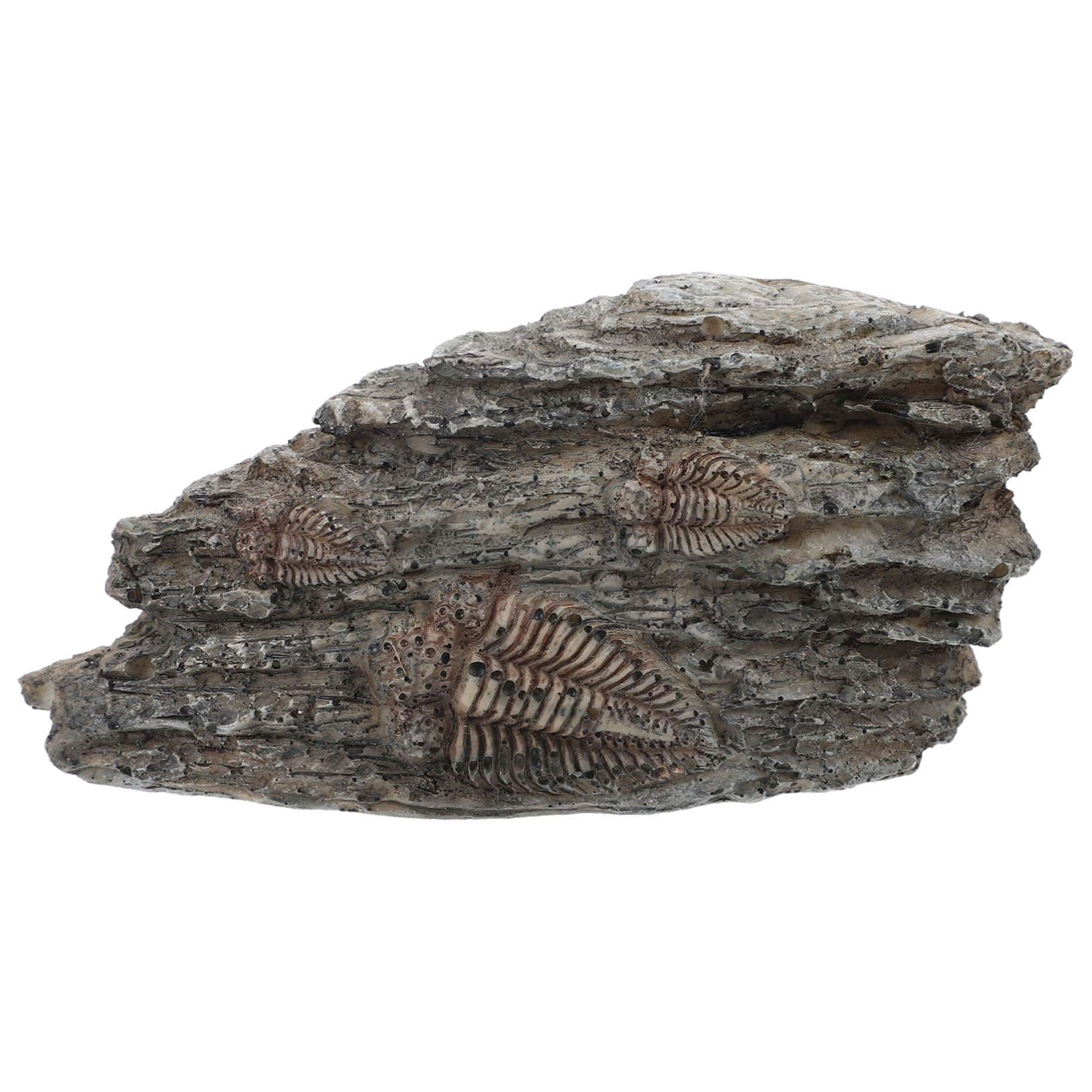 PRETYZOOM Paleontological Trilobite Ornament Authentic Resin Trilobite Specimen for Educational Display and Collection Unique Trilobite Decoration for Science Enthusiasts