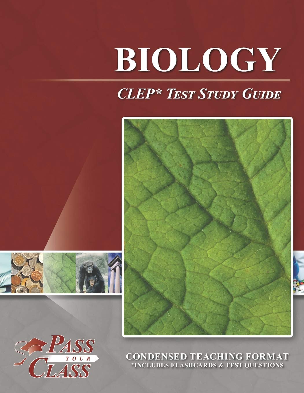 Biology CLEP Study Guide