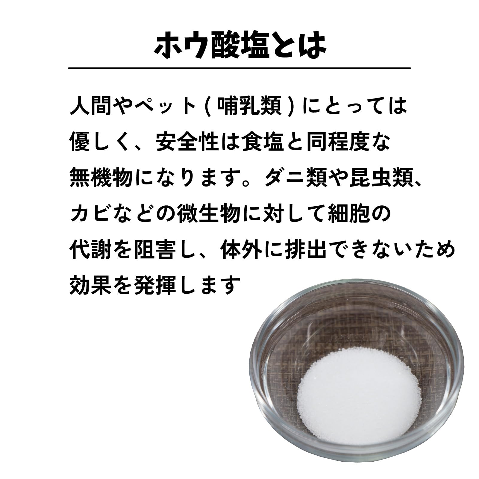 Amazon.co.jp: アーネスト 敷くだけ簡単 自由にカットできる 防カビ 防