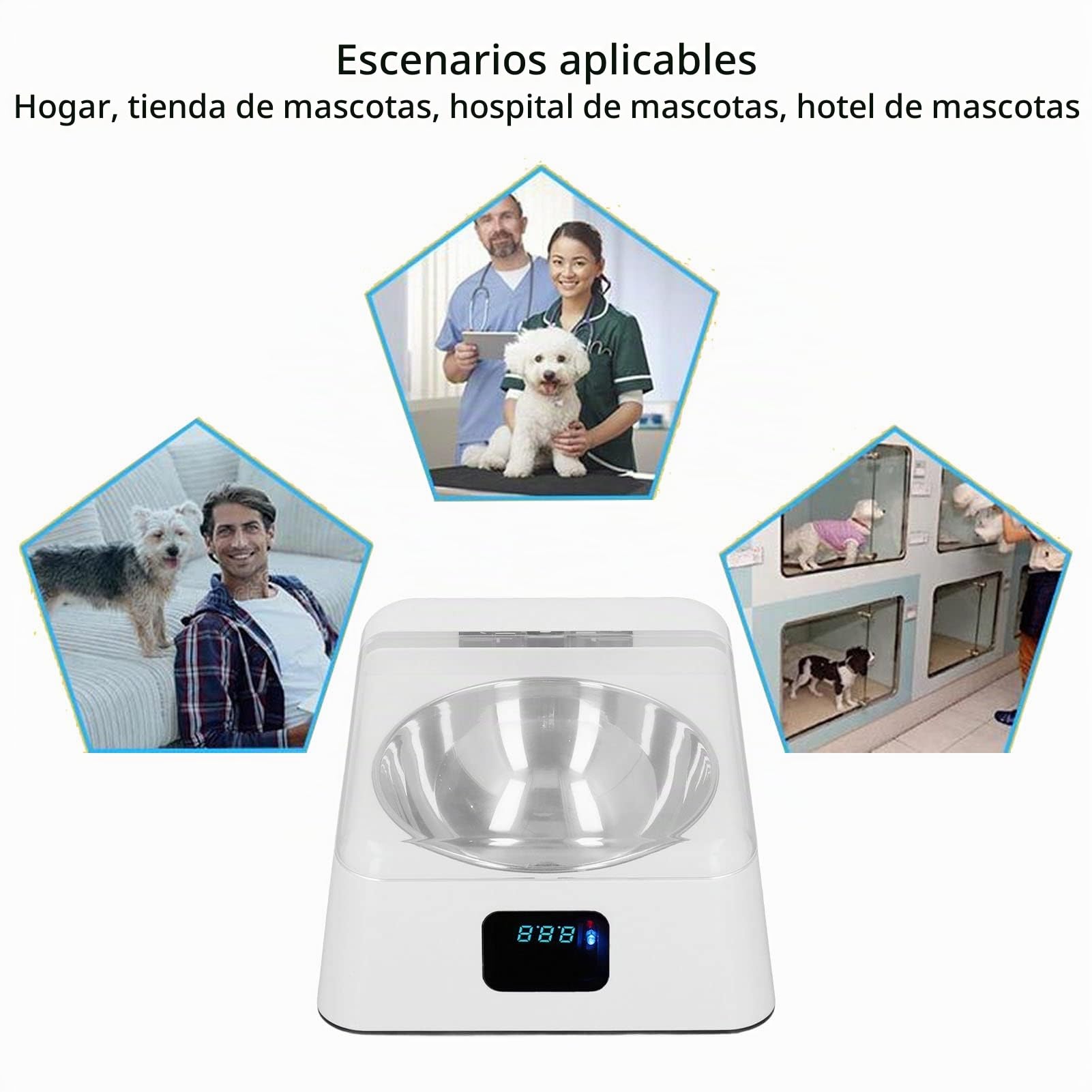 Cuenco de Alimentación Inteligente Automático para Gatos, Comedero Sensible para Mascotas, Tapa Que Evita Resbalones, Inducción IR para Mascotas Pequeñas, Comedero para Gatos