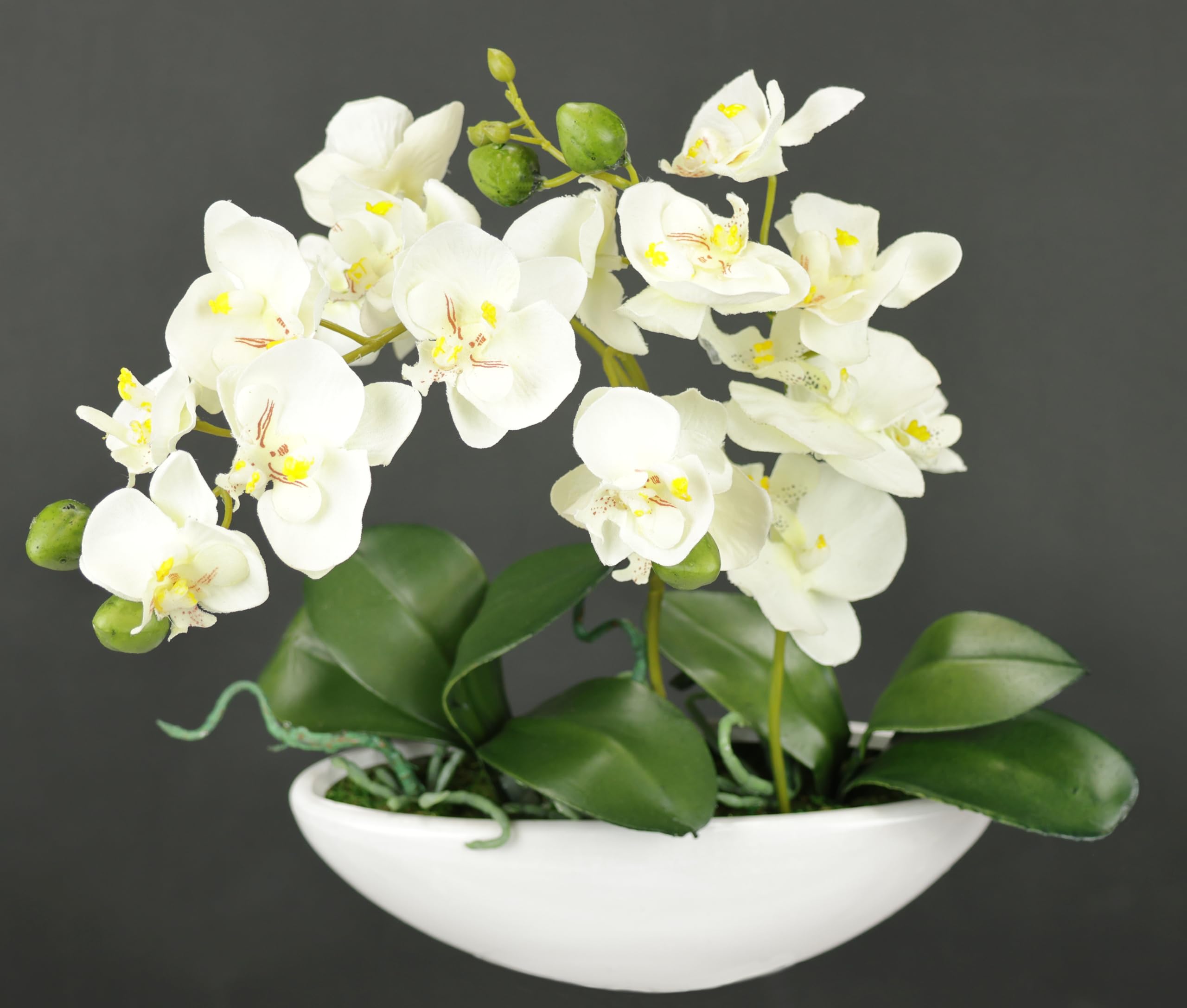 Witte kunstorchidee Phalaenopsis Real Touch 32cm