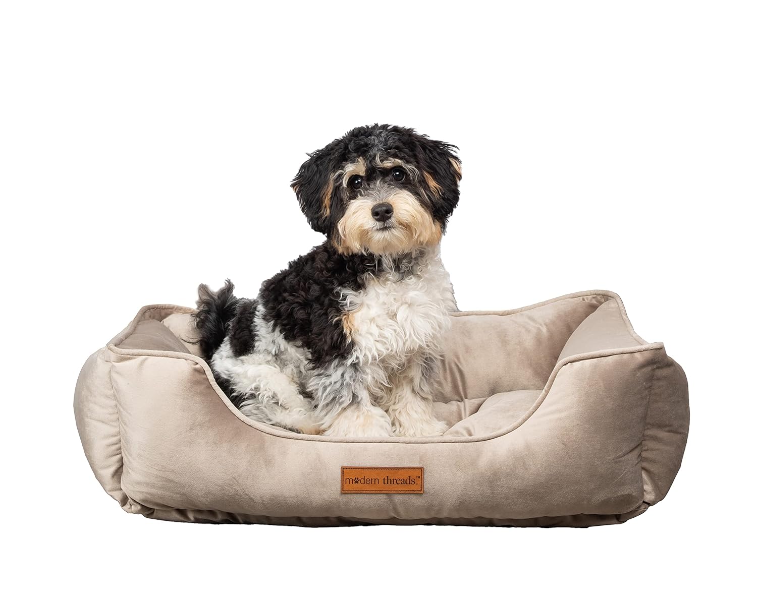 Modern Threads Luxury Dog Bed - Comfortable Tufted Velvet Cushion for Small to Medium Dogs - Machine Washable - Durable & Cute Sleep Space for Pets - Pamper Your Pet with Cozy Beds - Beige