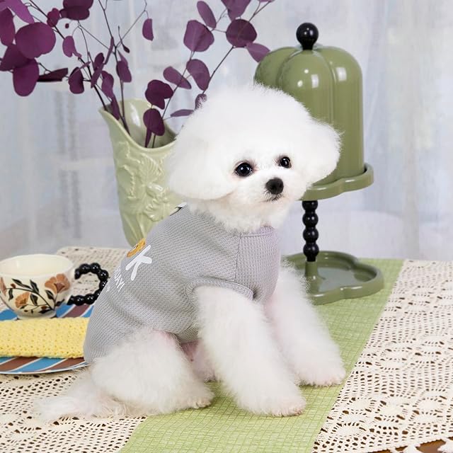 Foto 5 de 8 de Izefia 3 Piezas Camisas de Perro Ropa Transpirable Libro Oso Patrón de Gofre Fresco Verano Chaleco de Algodón…