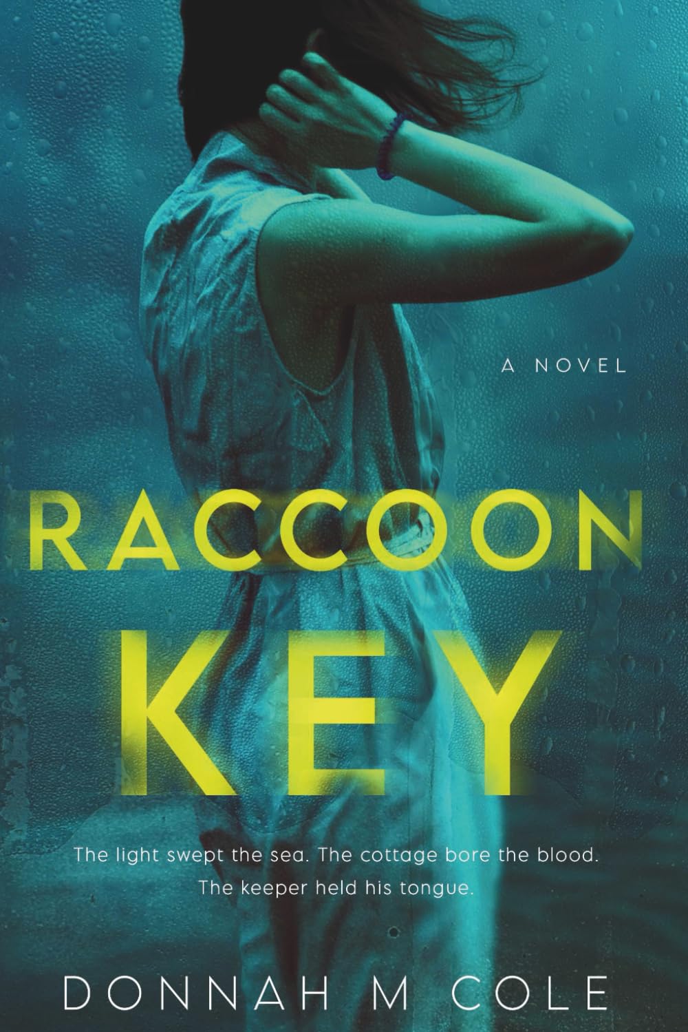 Raccoon Key: Dual Timeline Historical Mystery, Coastal Romantic Suspense, Unsolved Lighthouse Mystery