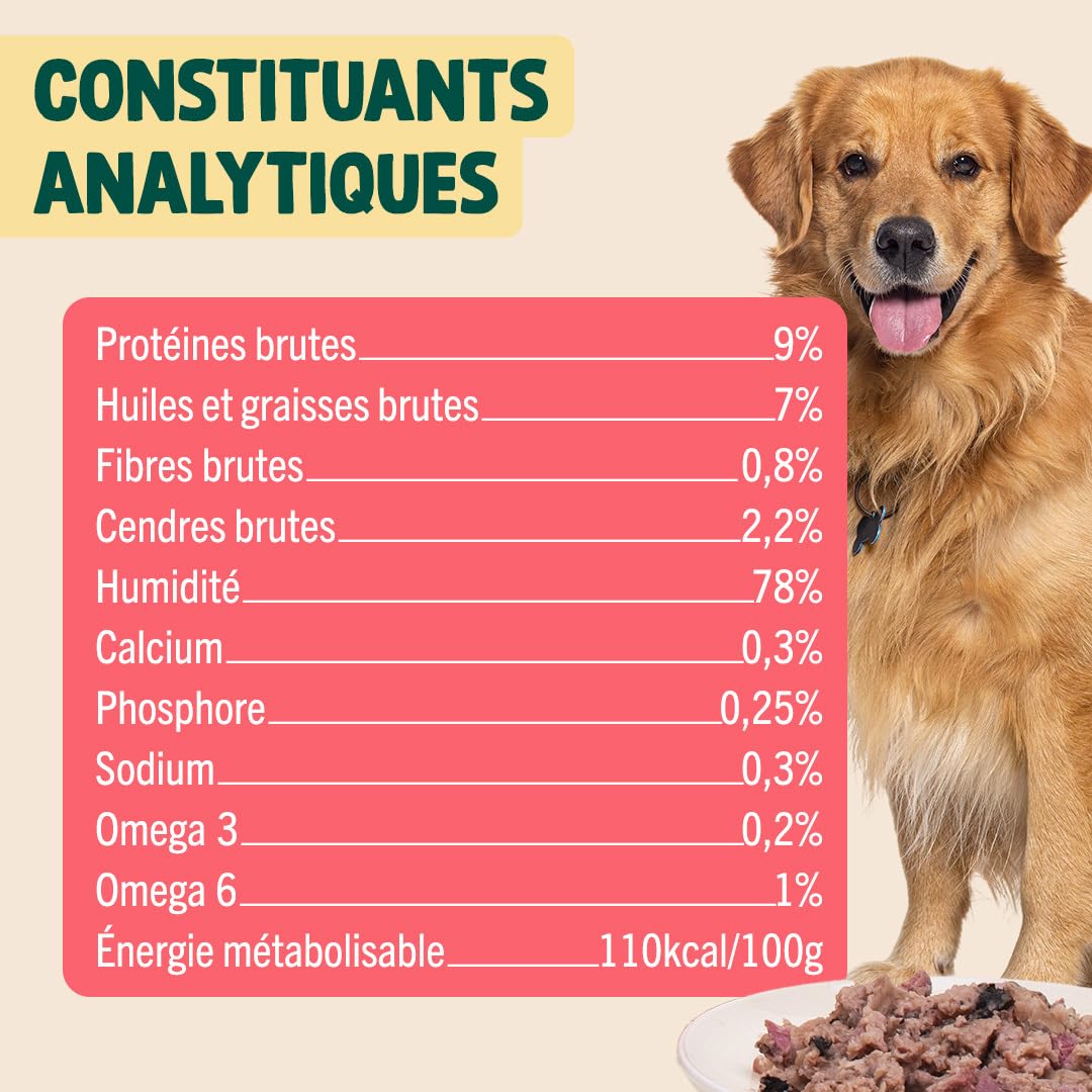 FRANKLIN – Patée pour Chien – Lot 6x400g – 70% de Saumon et Dinde – Riche en Protéines – Contrôle du Poids – Brillance du Poils – Digestion Facile