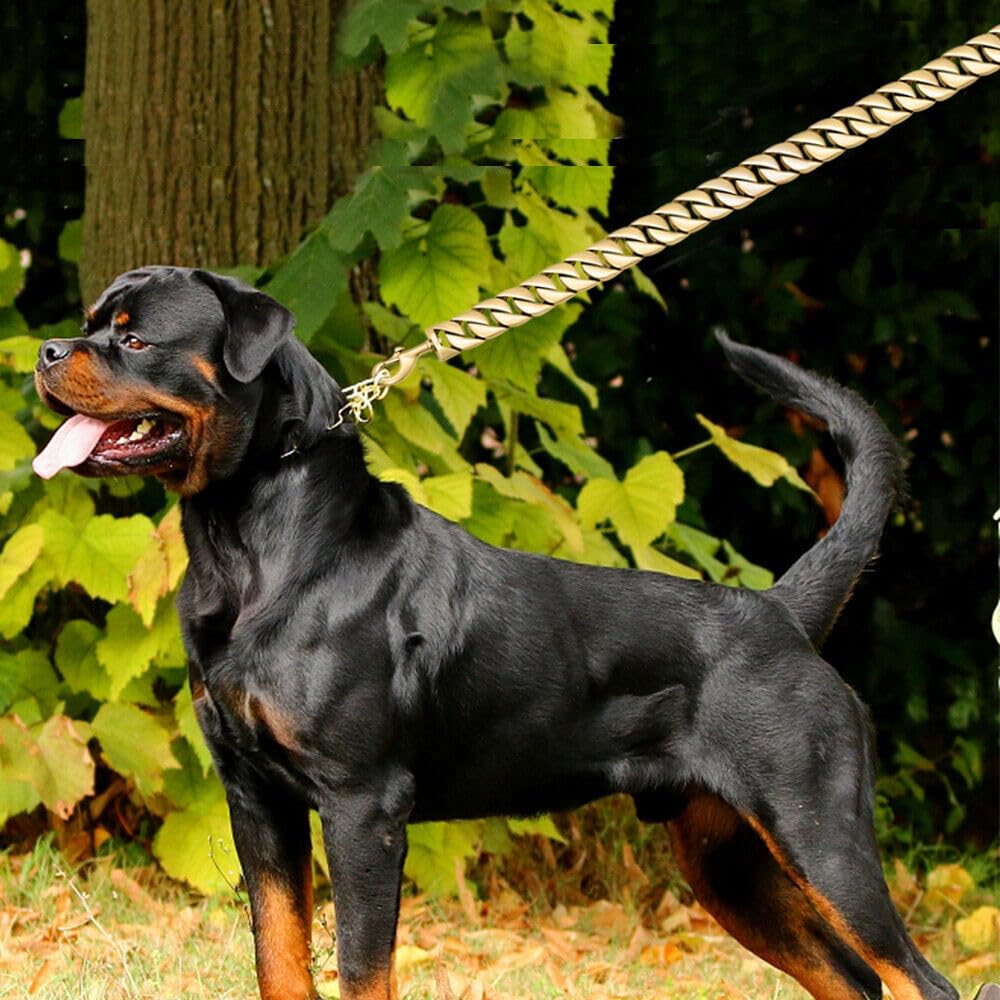 BDC Big Dogs Chains Cuban Leash, 91.4 Cm, Feet (B09LYB84SV) Amazon Price History, Amazon Price Tracker