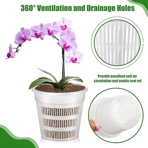Miniatura 3 de 36 macetas de orquídeas con agujeros de drenaje de plástico para trasplantar, maceta de orquídea ranurada transparente transpirable para orquídeas