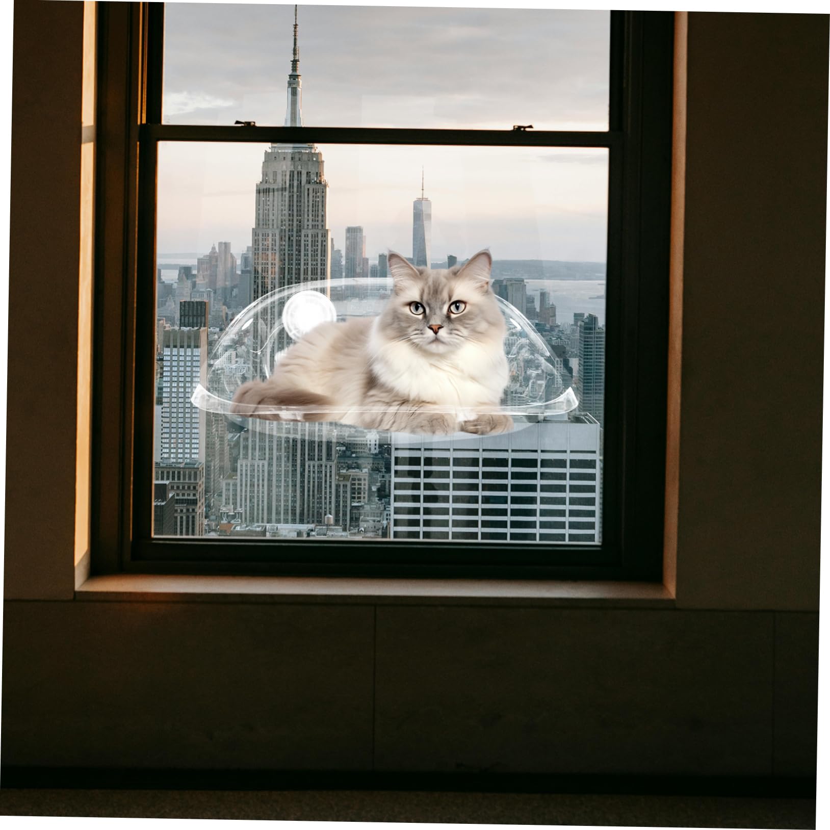 SOIMISS Katzenhängematte mit Saugnapf für Fenster Stabiles Hängebett aus As Material Platzsparend und Sicherer Schlafplatz für Katzen im Zimmer oder Am Fenster