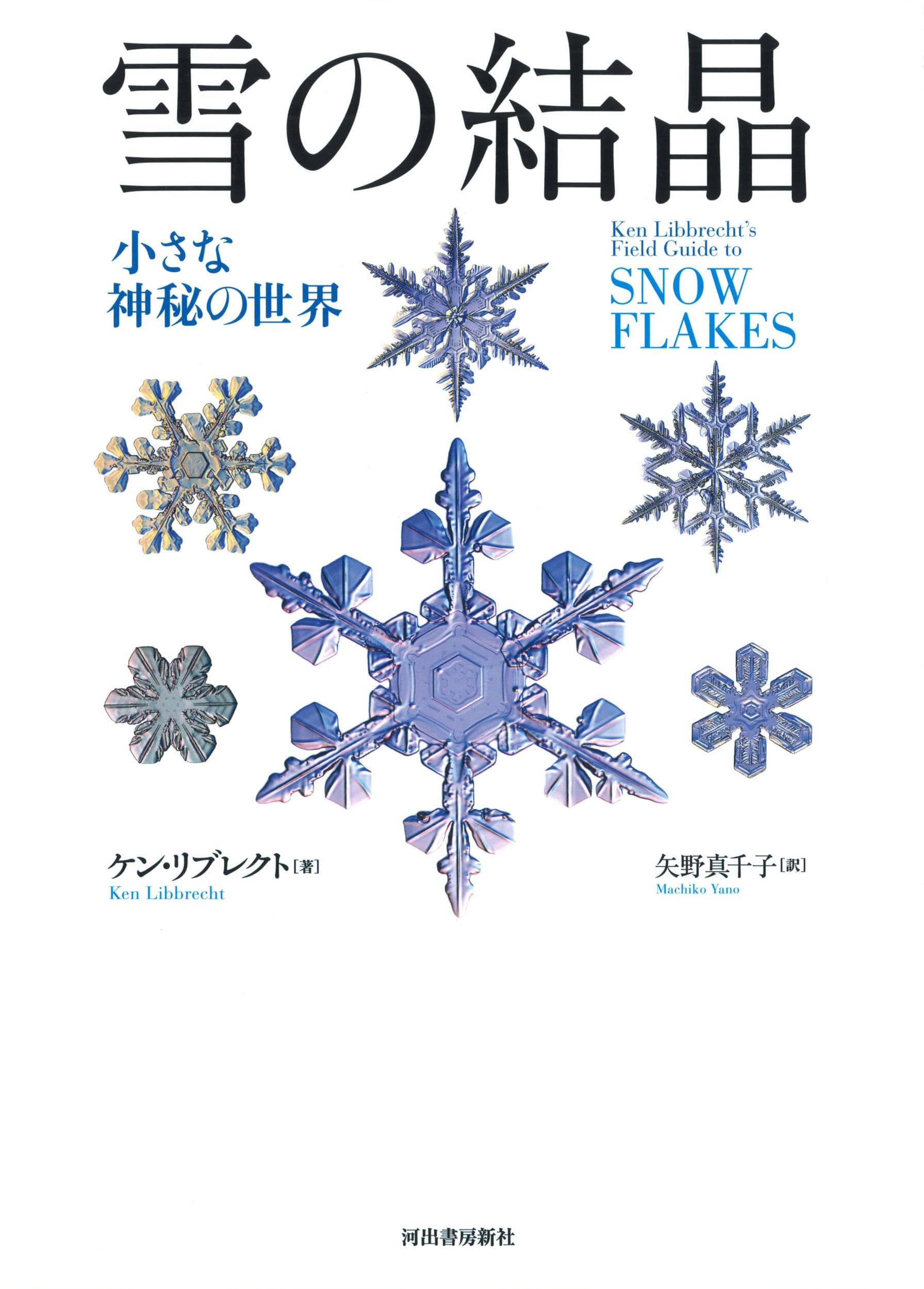 雪の結晶文具 雪の結晶 チャームストラップ – ネイチャーテクニカラー公式