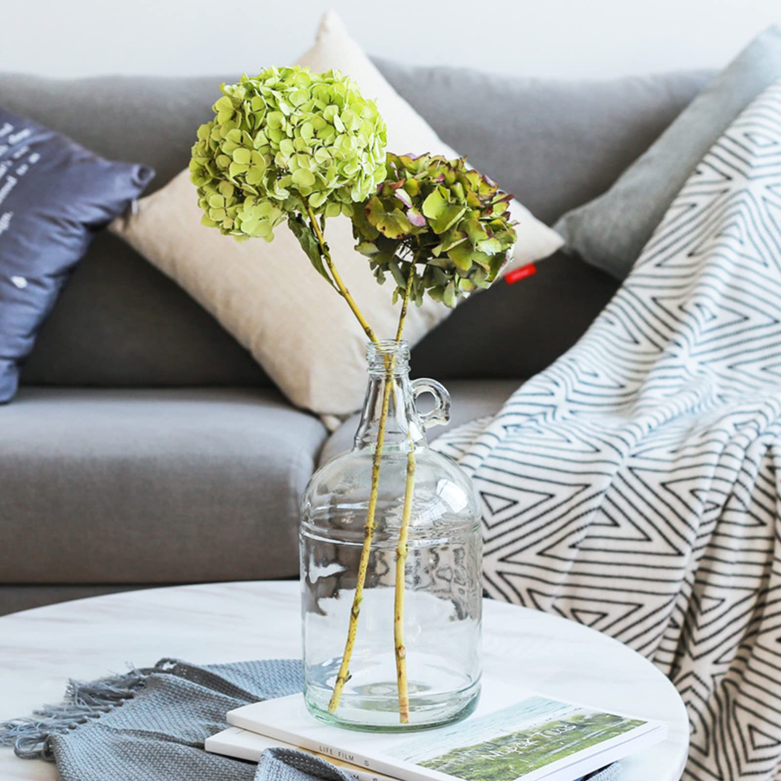 Dicunoy 1 Gallon Glass Jugs, 128 OZ Large Fermenting Jug with Seal Lid ...