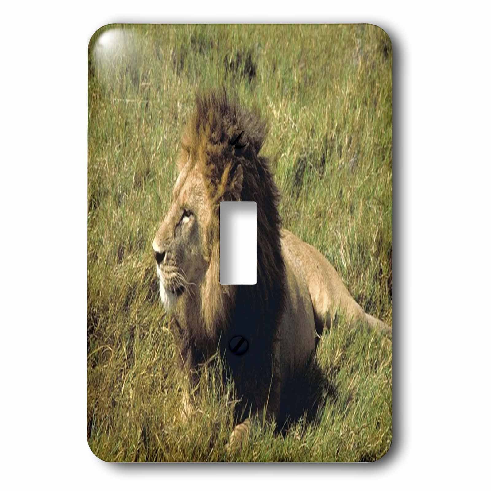 Interrupteur à baïonnette African Male Lion créez une ambiance savane salon