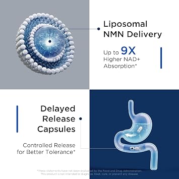 Selerb NMN Supplement Liposomal Neuro NMN with Resveratrol, TMG, Quercetin, CoQ10, Rhodiola, NAC, Astaxanthin & Magnesium NAD+ Precursor Supports Brain Cellular Energy (1 Bottle - Liposomal NMN)