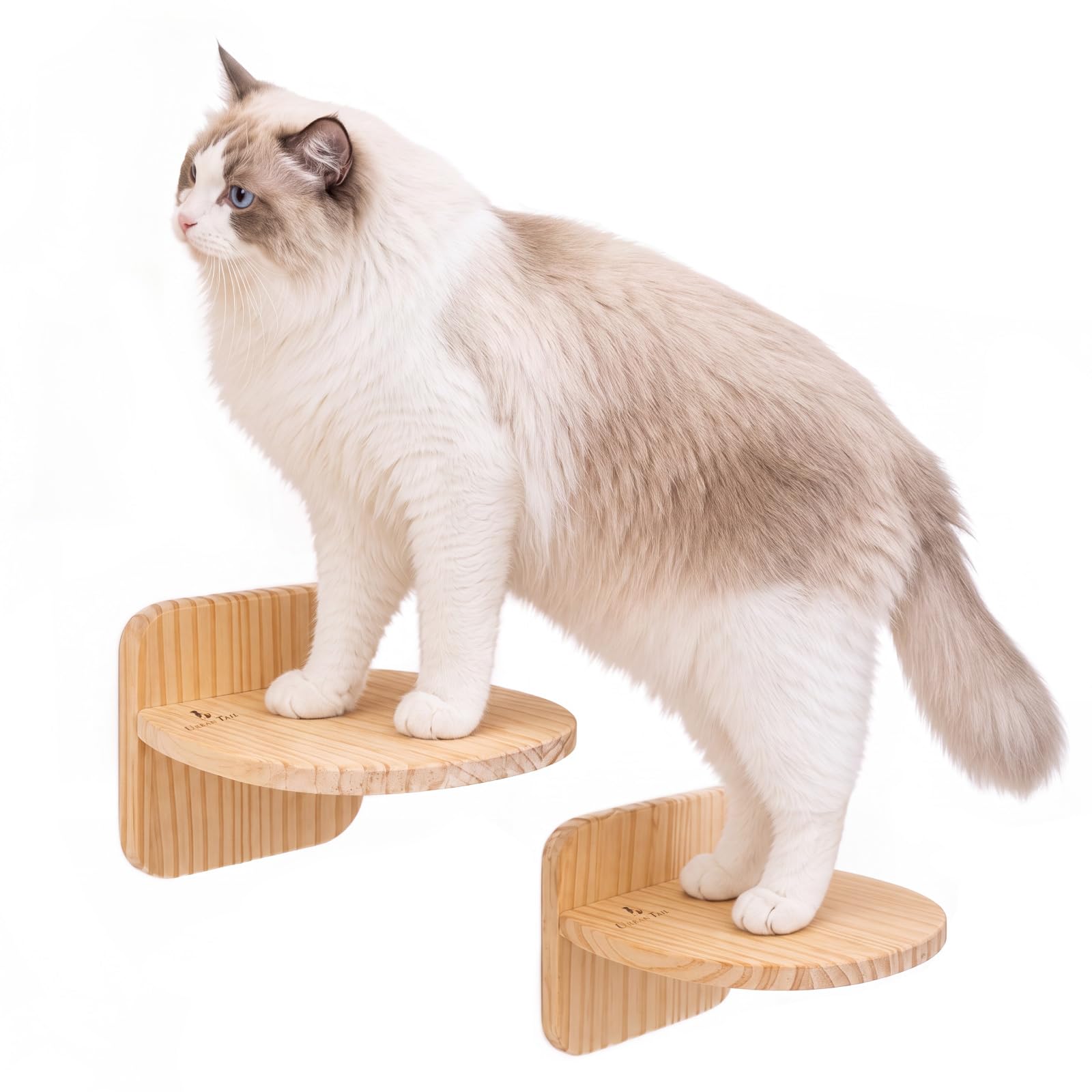 Amazon.co.jp: アーバンテイル キャットウォーク 賃貸OK (2個セット)壁