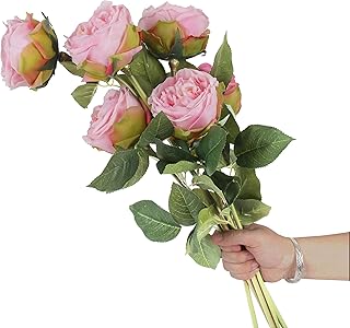 6pcs Eden Rose Artificial Flowers,24 Inch Super Long Stem David Austin Rose,Real Touch Silk Cabbage Rose for Home Decor Centerpiece Crafts Wedding Bouquet Supply,Light Pink