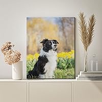 Vista 2 de YEEIFFD Kits de pintura de diamantes para adultos, Border Collie Perros DIY 5D Redondo Completo Taladro Diamante Puntos Pintura con Diamantes