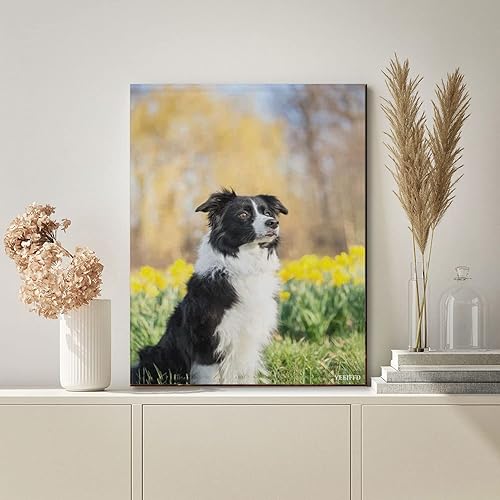 Miniatura 2 de YEEIFFD Kits de pintura de diamantes para adultos, Border Collie Perros DIY 5D Redondo Completo Taladro Diamante Puntos Pintura con Diamantes