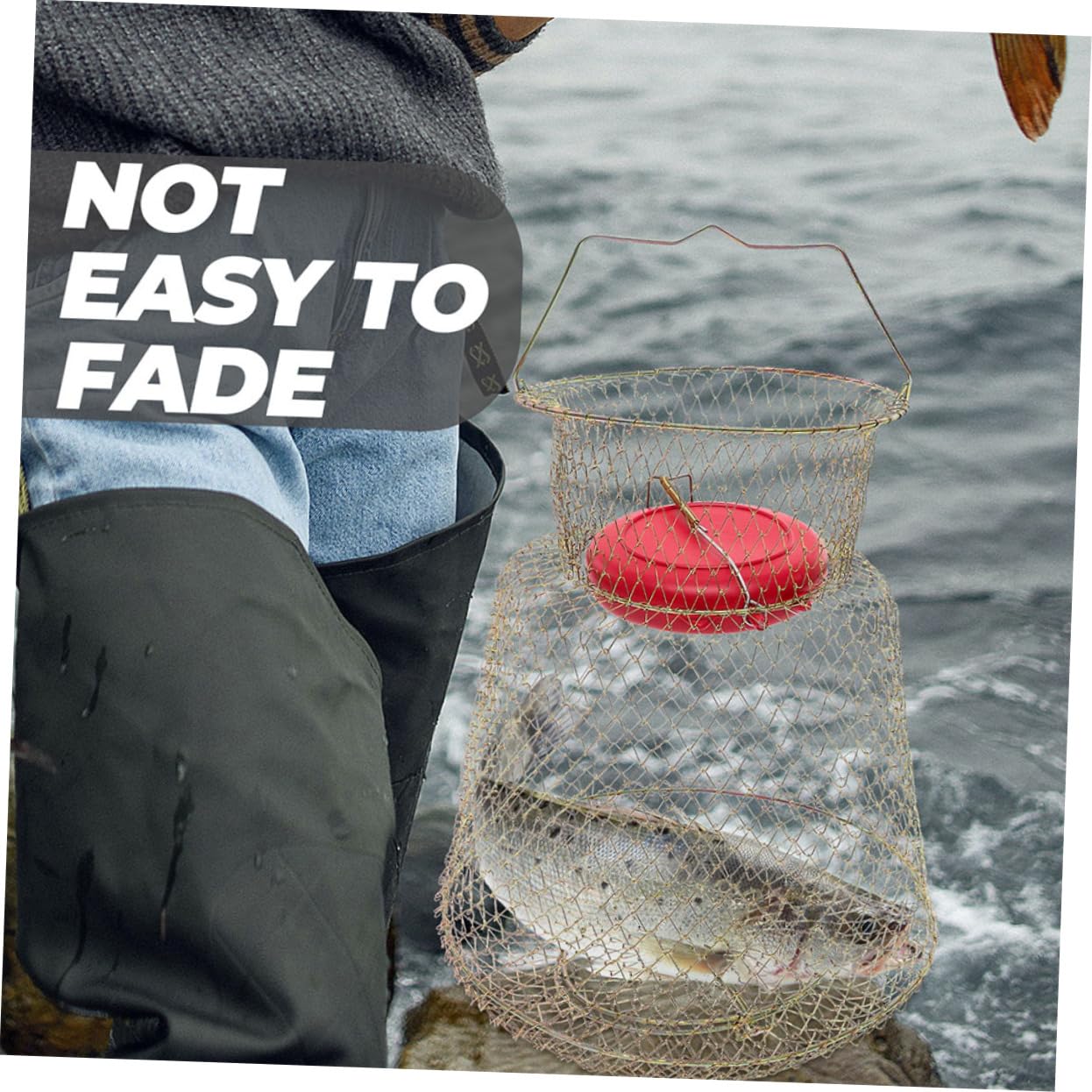 Kisangel Panier à Poisson en Fer Panier à Crevettes pour La Pêche Filet De Pêche Panier à Poisson Flottant Pièges Panier à Poisson pour Poisson Pêché Panier à Poisson Pliable Le Fer