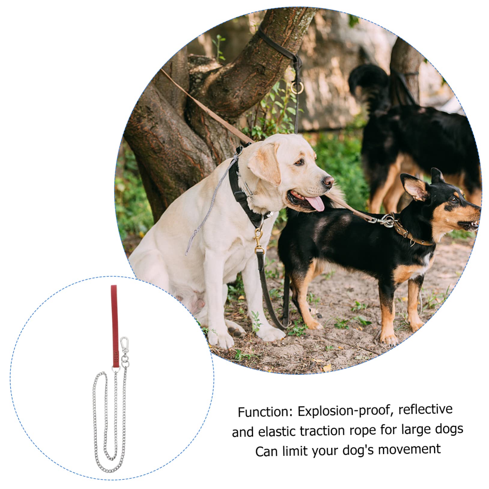 VANZACK Cadena De Acero Inoxidable para Mascotas con De Acolchada Correa De para Perros Suministros para Mascotas para Caminatas y Entrenamiento