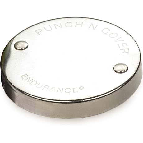 RSVP International Collection Storage & Preservation, Vintage Punch 'N Cover, Stainless Steel, 3"