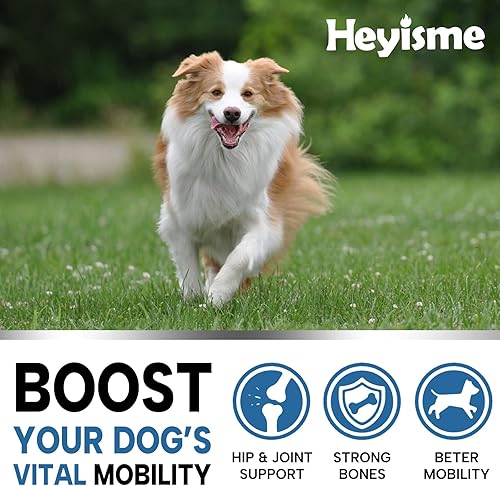 Miniatura 6 de Glucosamina para perros, 180 masticables para cadera y articulaciones suplemento para perros, glucosamina condroitina, MSM cáñamo perro alivio del