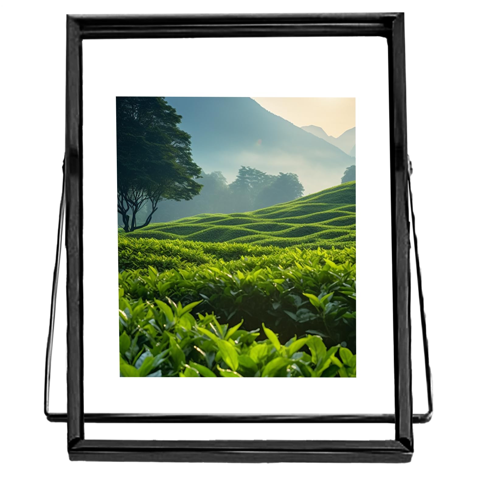 Cadre photo flottant en métal 20,3 cm XIAOXIAOYU de table