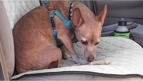 Miniatura 187 de FH Group Neosupreme - Cojines de asiento para automóvil, ajuste universal, cojín para asiento trasero de automóvil con respaldo de silicona Gris