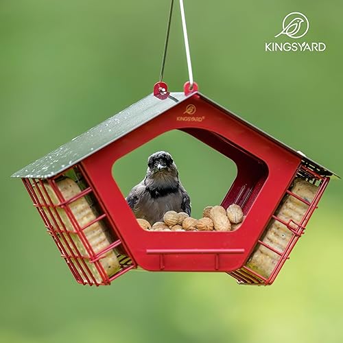 Miniatura 9 de Kingsyard Comederos de metal para colgar en exteriores, alimentador de semillas mixtas 2 en 1 con jaulas dobles de sebo, techo de metal resistente a