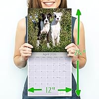 Vista 277 de Razas de Perros 2017