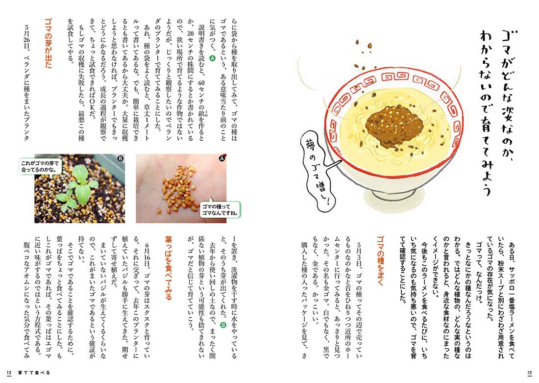 育ちすぎたタケノコでメンマを作ってみた 実はよく知らない植物を育てる 採る 食べる 玉置標本 配送料無料