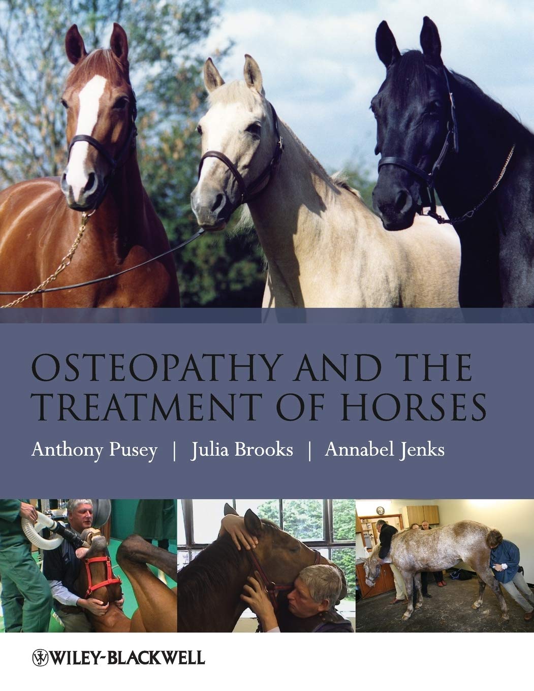 Osteopathy and the Treatment of Horses by Julia Brooks, Annabel Jenks,...