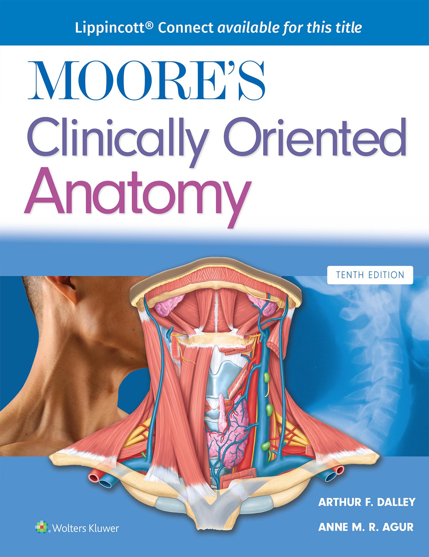 Clinically Oriented Anatomy [ペーパーバック] Moore， Keith L.、 Dalley PhD， Arthur F.; Agur B.Sc. (OT)  M.Sc  PhD， Anne M. R. 71tCKdBFnkL.jpg