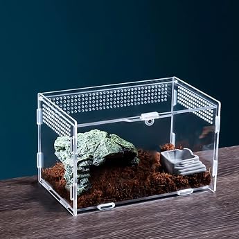 Nizirioo Mini Transparent Acrylic Terrarium Reptile Feeding Box Critter Box for Spide Scorpio Beetle Praying Mantis Reptile Habitat 20 x 12 x 12 cm