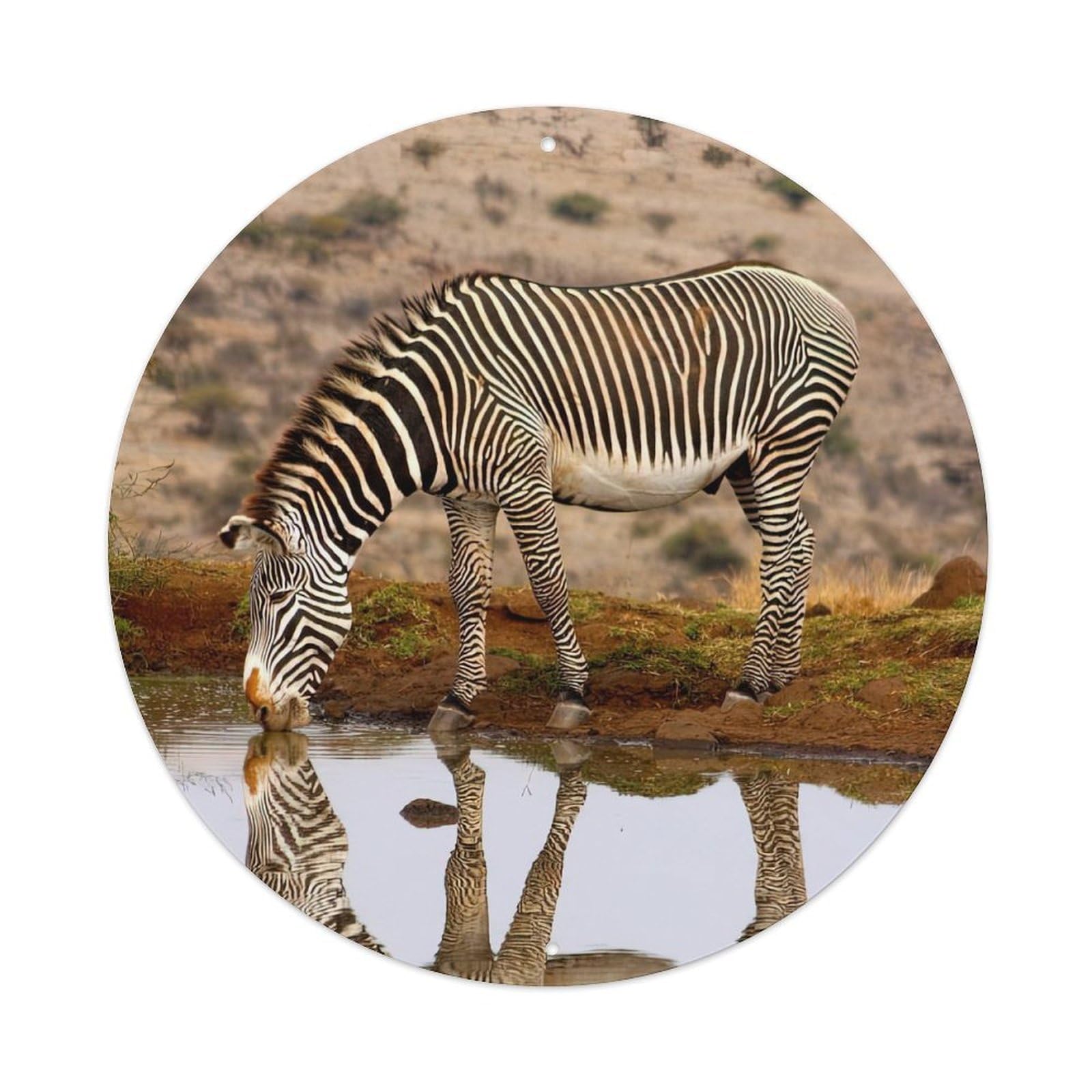 Zebras Wildlife Artwork Vintage Metal Tin Sign Plaque Wall Decor for Cafe, Club, Garden Round Metal Poster 8x8Inch