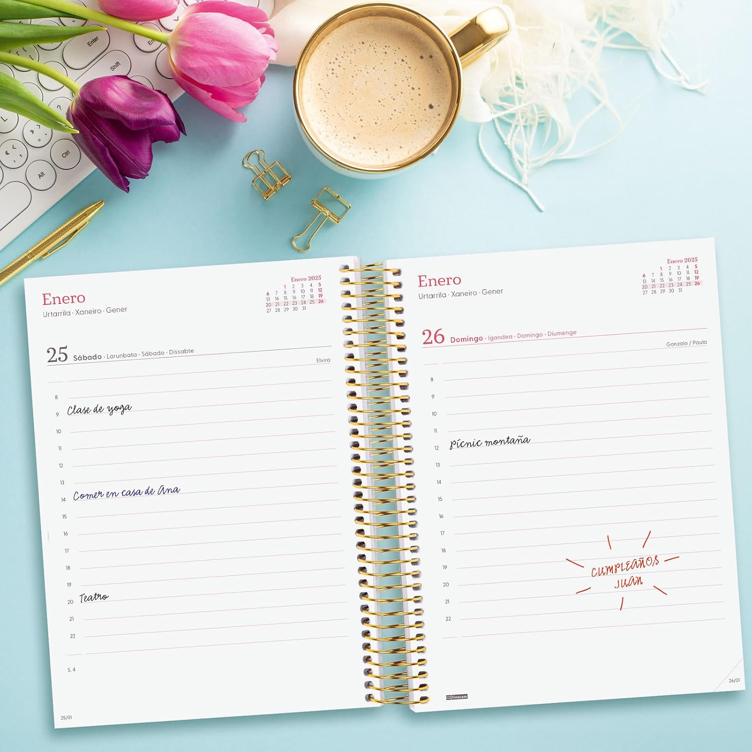 Finocam - Spiral Agenda Design Collection 2025 1 Day Page January 2025 - December 2025 (12 months) Spanish Gala
