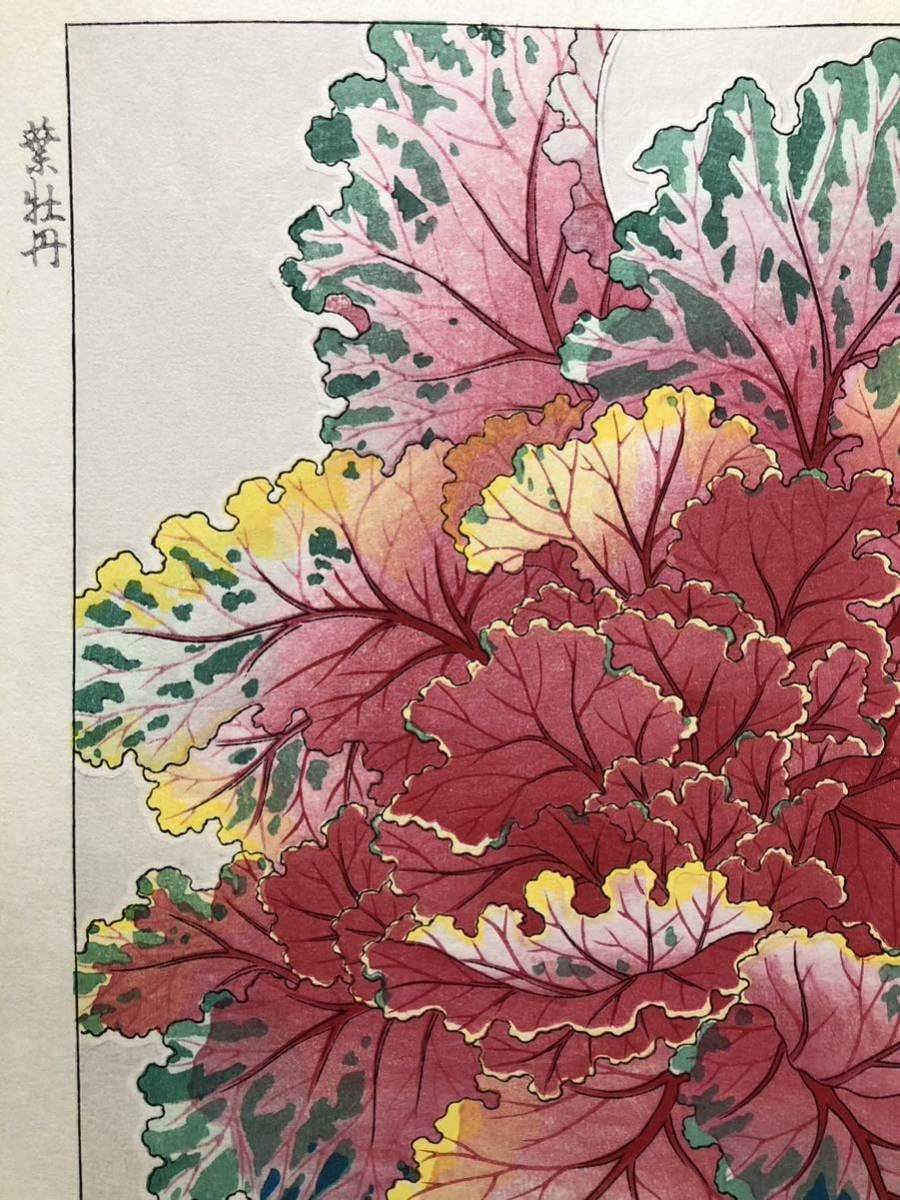 【版画】河原崎奨堂　木版画　竹　牡丹 Amazon.co.jp: 木版画 河原崎奨堂葉牡丹芸艸堂版 大判 彫長島 摺