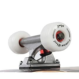 Amrgot Skateboards for Beginners,31 * 8 inches Complete Skateboards for Kids,Boys,Girls and Adults,7 Layer Maple Wood,Double Kick Deck Concave Standard and Tricks Skateboard