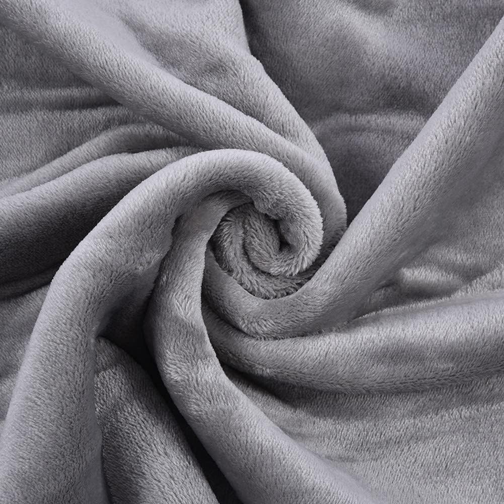 Car Heated Blanket, 12V Plush Multifunctional Travel Electric Blanket for Car with Controller Heating Level，Great for Cold Weather,Traveling Camping 43''X 28'' (Grey) : Automotive