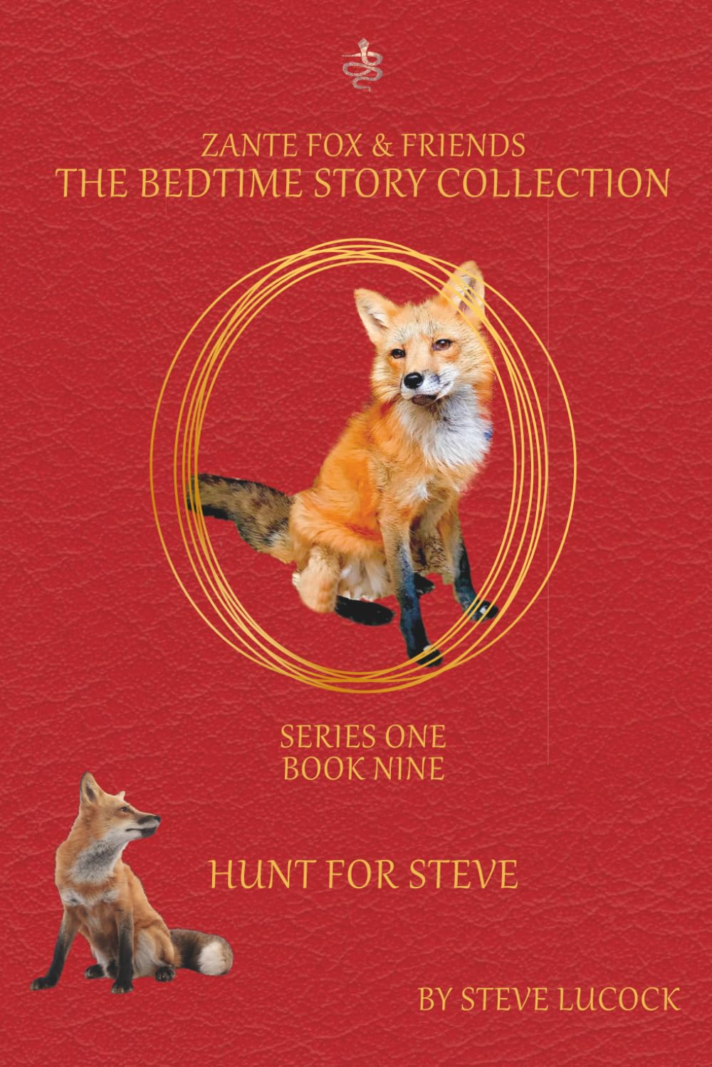 Hunt For Steve (The Bedtime Story Collection - Series 1)