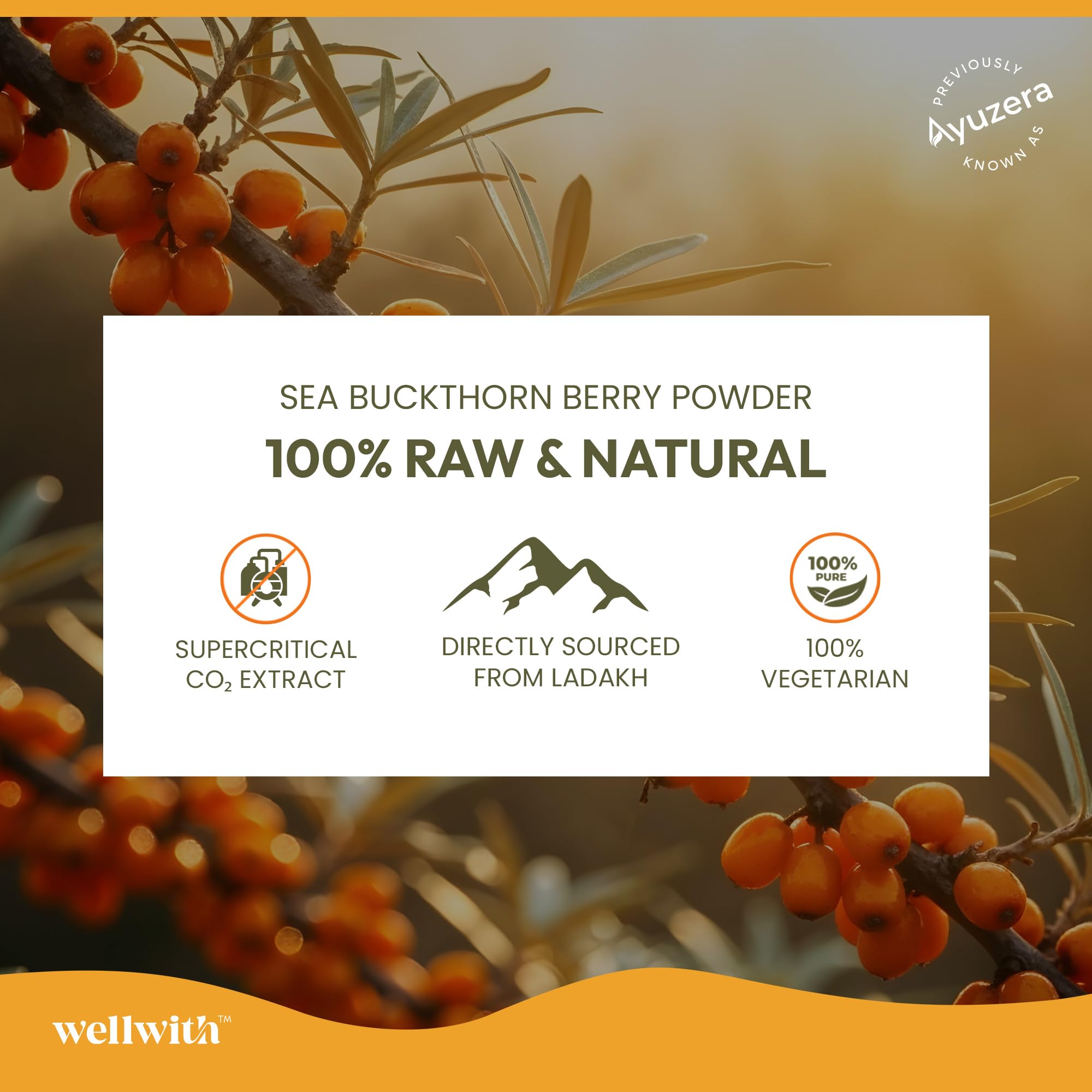 Wellwith (Ayuzera) Sea Buckthorn Berry Oil Vegan Omega 7 500mg, 90 Veg HPMC Capsules (Pack of 3), 45-Day Supply| Sea buckthorn capsules rich In Omega 3, 6, 7 & 9 For Muscle, Bone, Heart & Skin — Amazon image 7