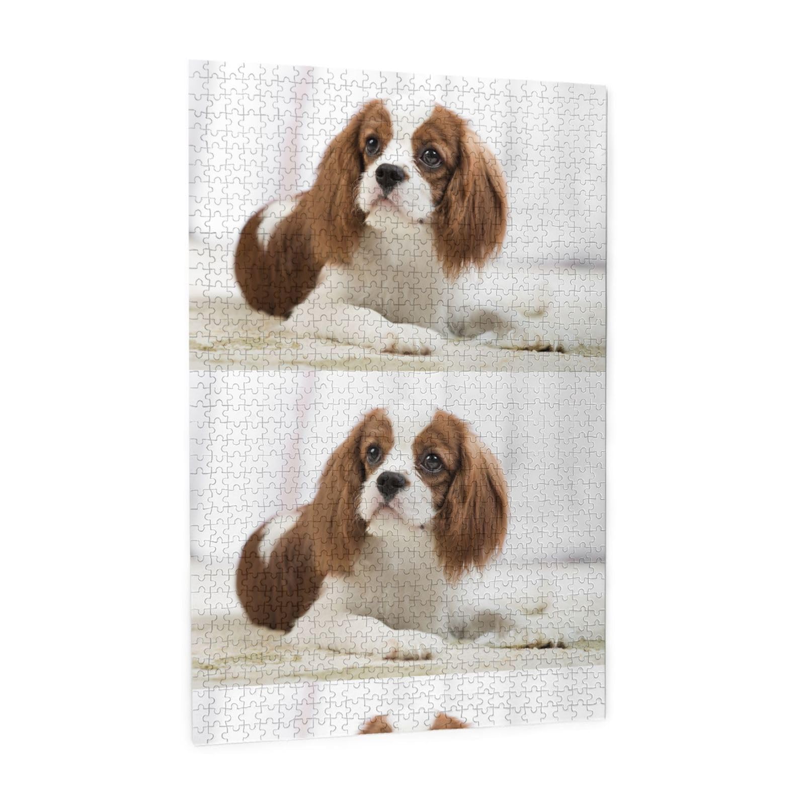 Cavalier King Charles Spaniel Spaniel Marrone, Puzzle da 1000 pezzi per adulti, Puzzle impegnativi, Puzzle a incastro