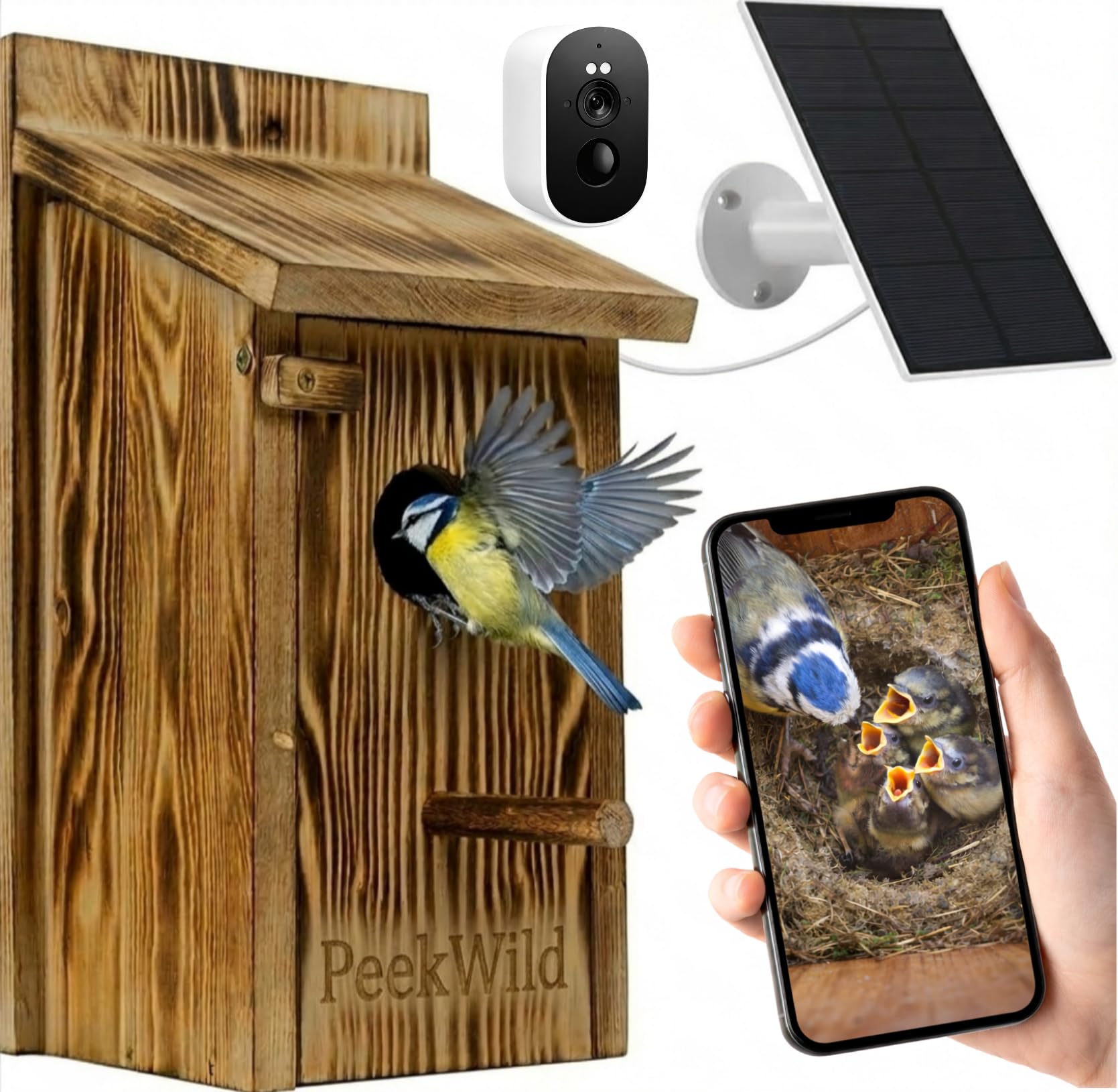 Smart Bird Box with 5MP WiFi Camera – Solar-Powered Nest Box Camera with Night Vision, Motion Detection & App Live View – Wireless Birdhouse Camera for Garden Wildlife Watching