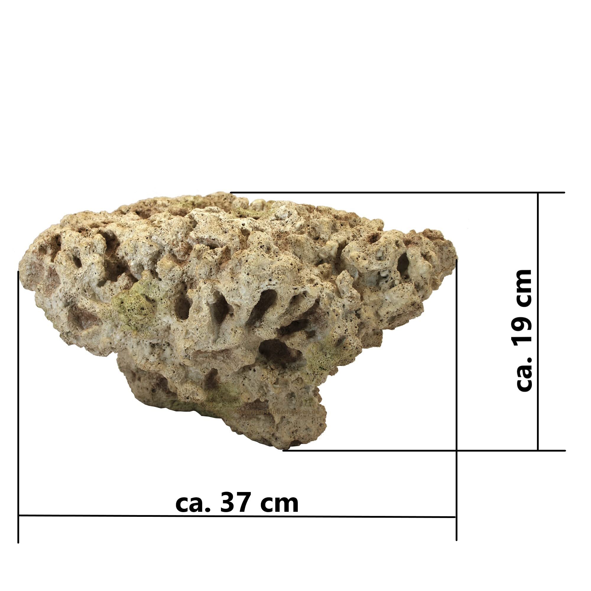 Riffgestein, 37 x 24 x 19 cm, Felsen Nachbildung,Meerwasser Aquarium Deko