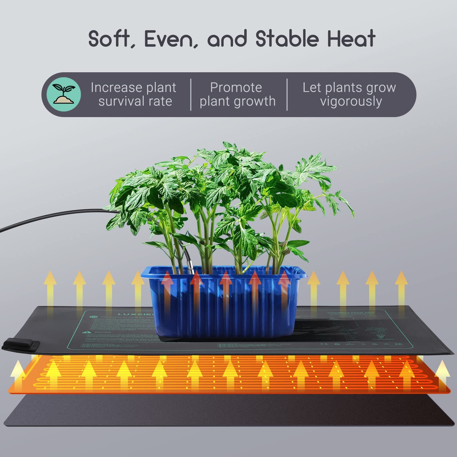 Luxbird Alfombrilla térmica para plántulas y Controlador de termostato, 21W Mantas calefactoras, Esterilla Calefactora para Siembra y Germinación en Interiores 2 Pieza Esterilla calefactora