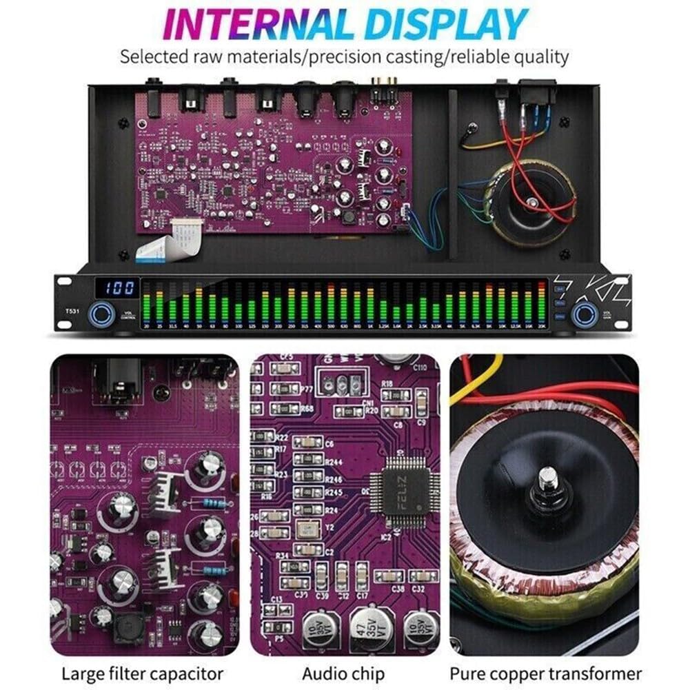 31-Band Stereo Grafik Digital Equalizer mit LED für SPECTRUM-Anzeige, Dual-K für DSP, Rauschunterdrückung, TRS/RCA/XLR Eingänge für Zuhause oder KTV, Schwarz