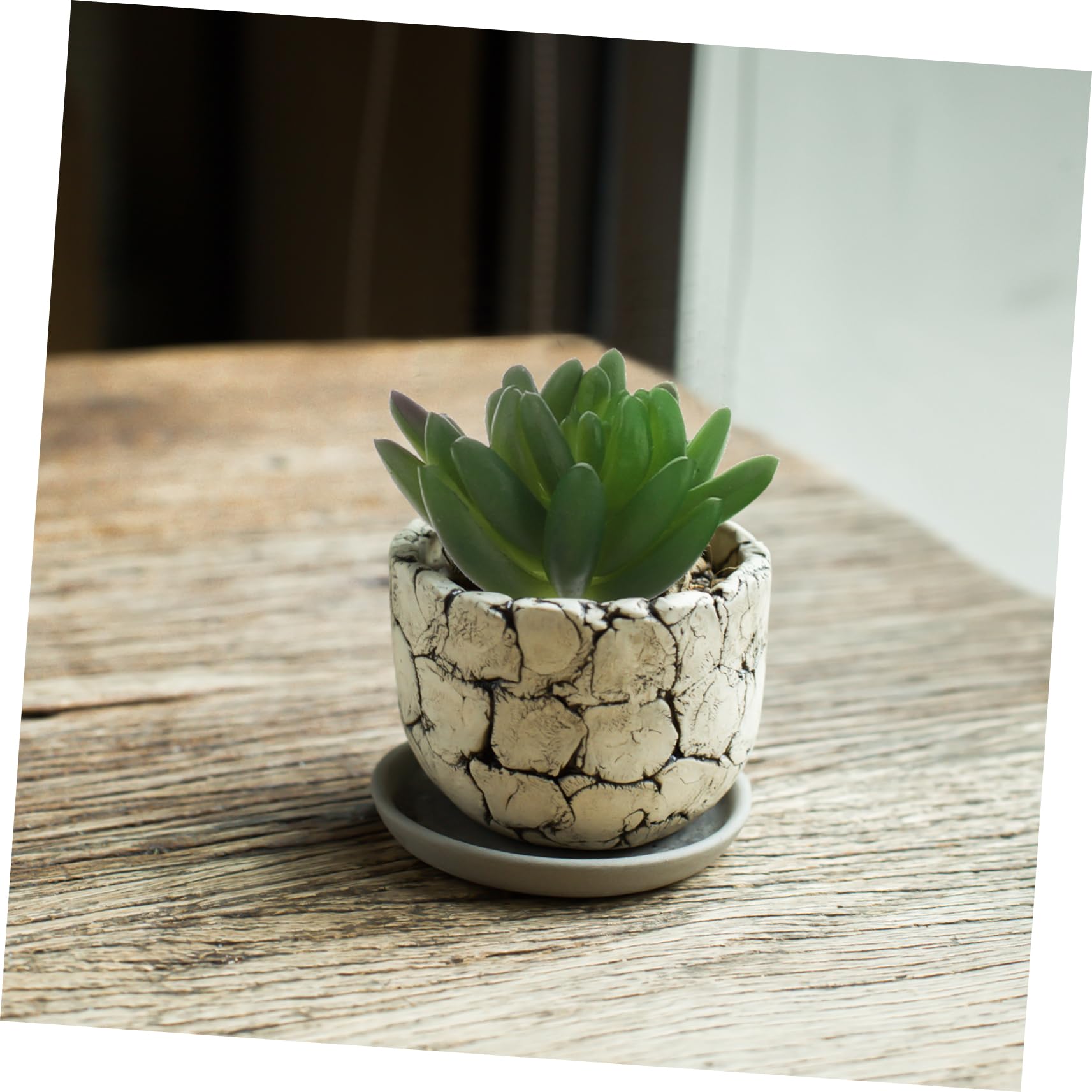 MAGICLULU 20pièces Plantes Succulentes Artificielles Lot de Fausses Plantes Grasses pour Décoration De Jardin Et Balcon Style Mixte Végétal